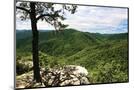 Wood Mount
