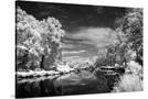 Stretched Canvas