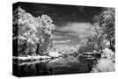 Stretched Canvas