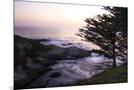 Wood Mount