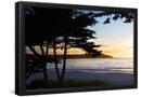 Essential Black
