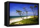 Canvas Black