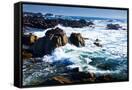 Canvas Black