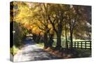 Stretched Canvas