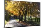 Wood Mount
