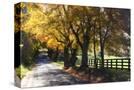 Stretched Canvas