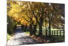 Wood Mount