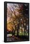 Essential Black