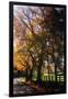 Gramercy Black