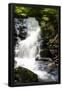 Essential Black