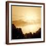 Brown Frame