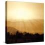 Stretched Canvas