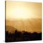 Stretched Canvas