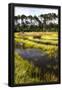 Essential Black