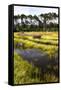 Canvas Black