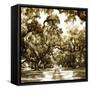 Canvas Black