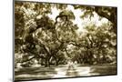 Wood Mount