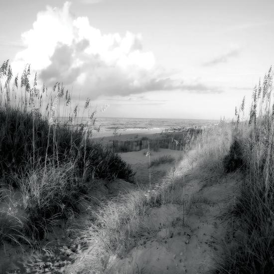 Photo, , large