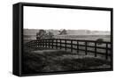 Canvas Black