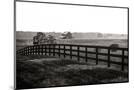 Wood Mount