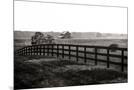 Wood Mount