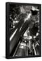 Essential Black