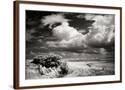 Chelsea Espresso