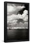 Essential Black