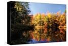 Stretched Canvas