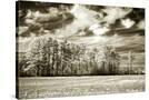 Stretched Canvas