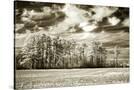 Stretched Canvas