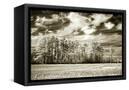 Canvas Black