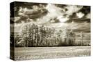 Stretched Canvas