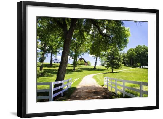 Premium Photographic Print, , large