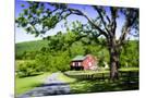 Wood Mount