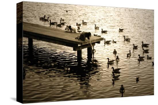 Stretched Canvas Print, , large