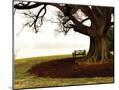 Wood Mount
