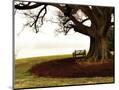 Wood Mount