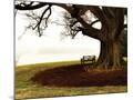 Wood Mount