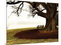 Wood Mount