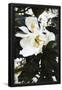 Essential Black