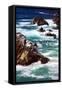 Canvas Black