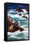 Canvas Black