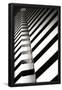 Essential Black