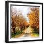 Black Frame