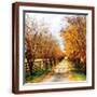 Brown Frame