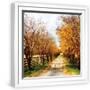 White Frame