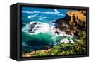 Canvas Black
