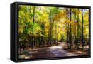 Canvas Black