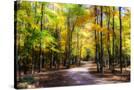Stretched Canvas